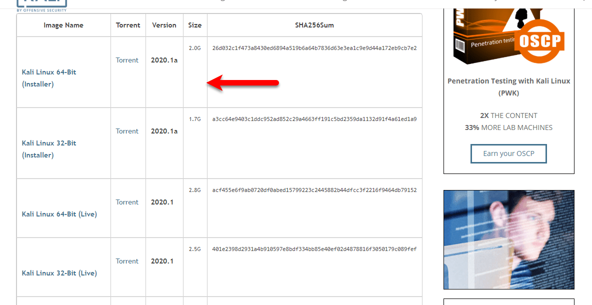 downloading vmware and kali for mac