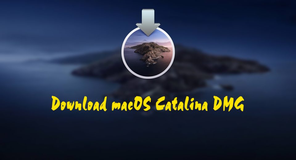 Download macOS Catalina 10.15.6 DMG file - Final Version
