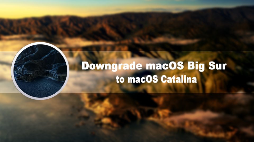 How to Downgrade macOS Big Sur to macOS Catalina on MacBook