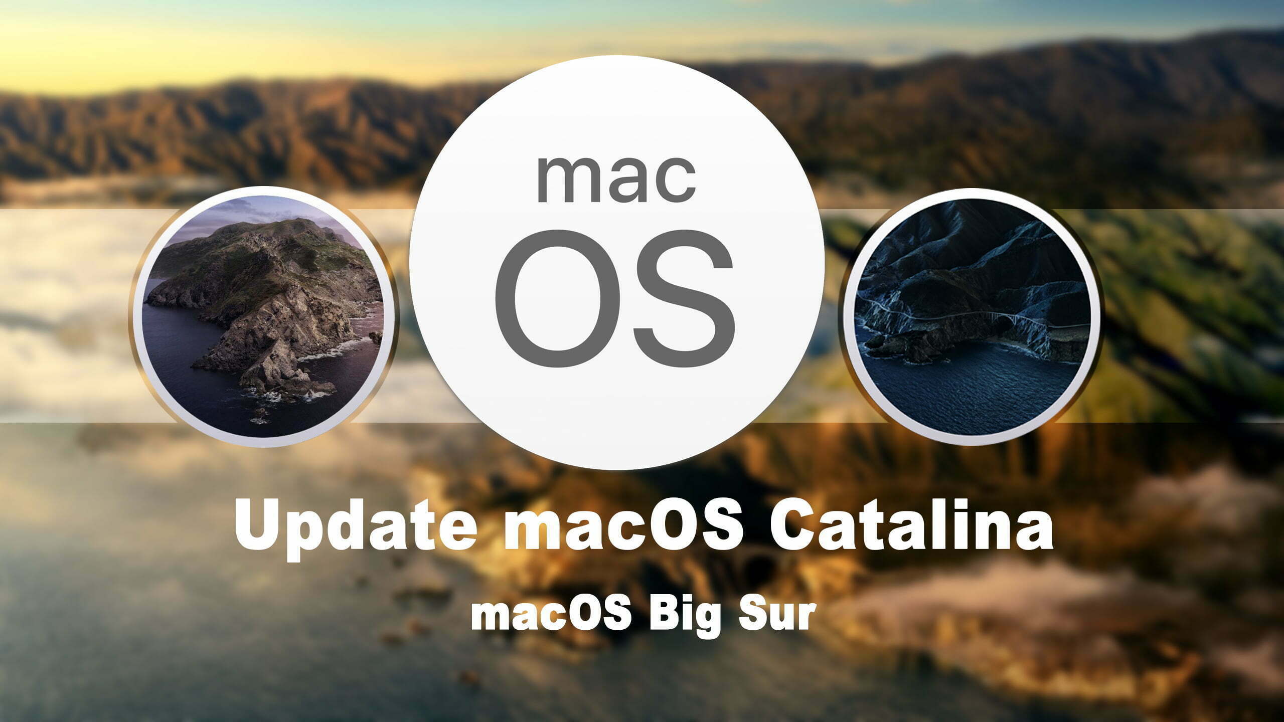 How to Update macOS Catalina to macOS Big Sur on Virtual Machine