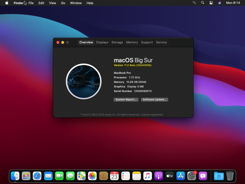 macos big sur vmware fusion 11