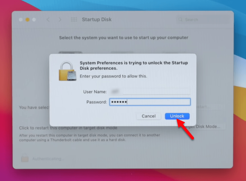 mac big sur cannot be installed on macintosh hd