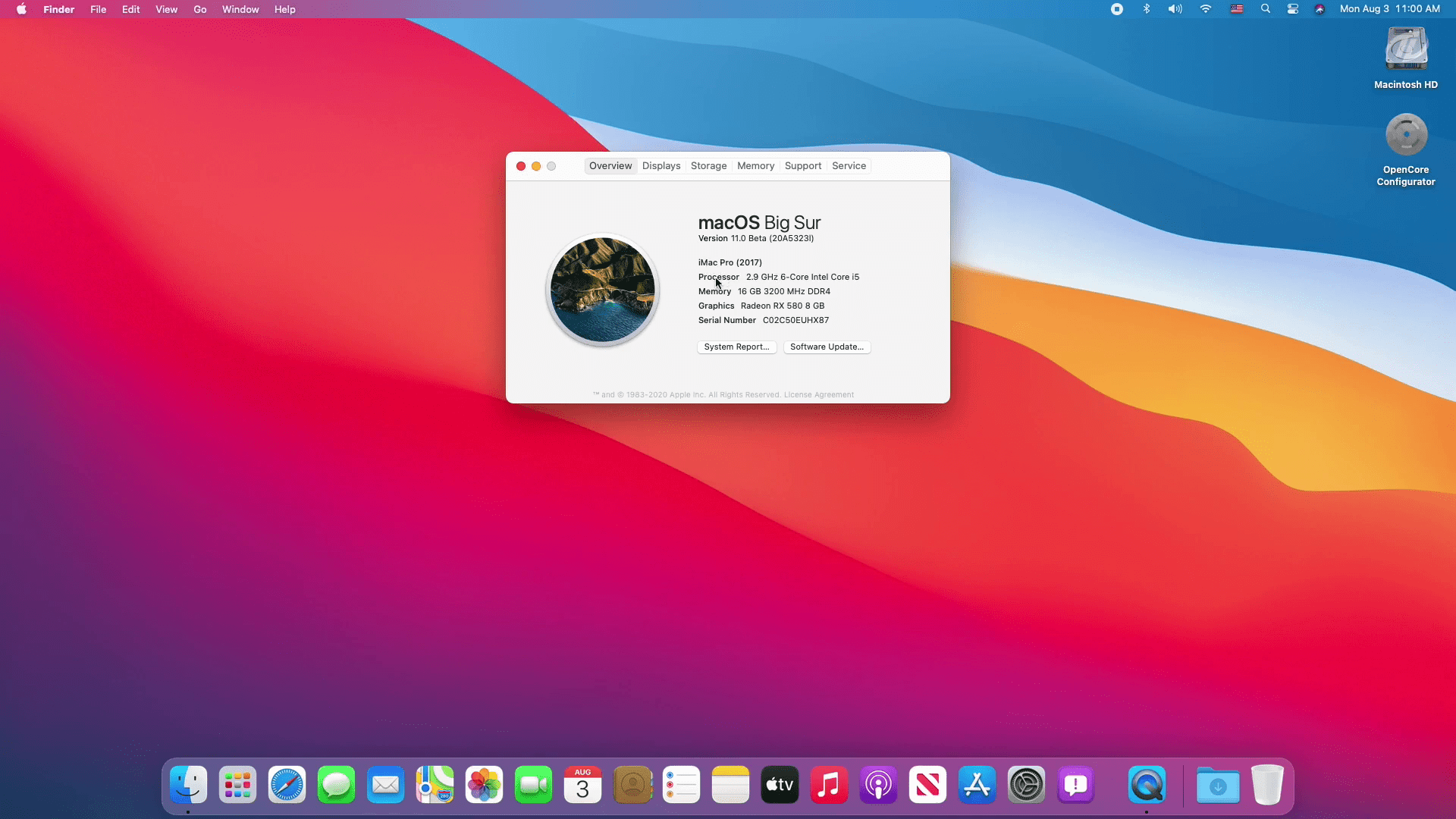 Installed macOS Big Sur