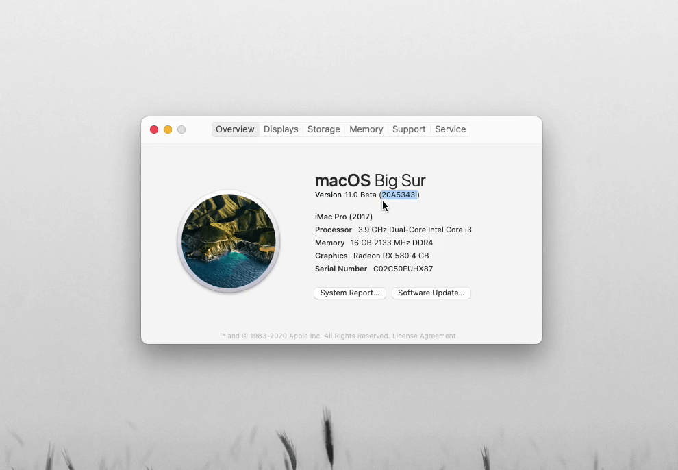 macOS Big Sur updated