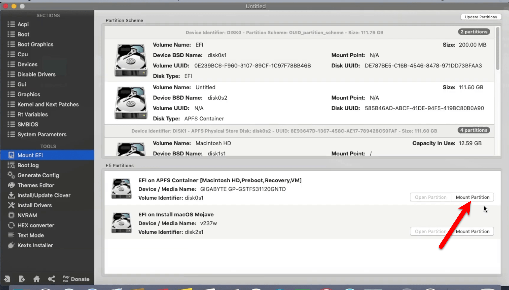 Mount EFI Partition