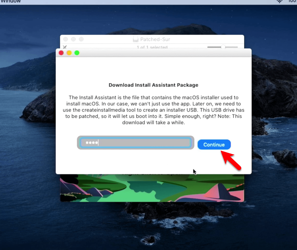 install big sur on unsupported mac