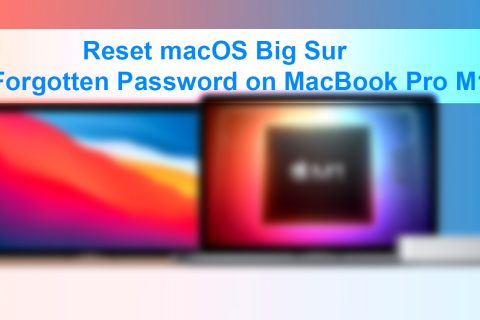 macos monterey beta 9