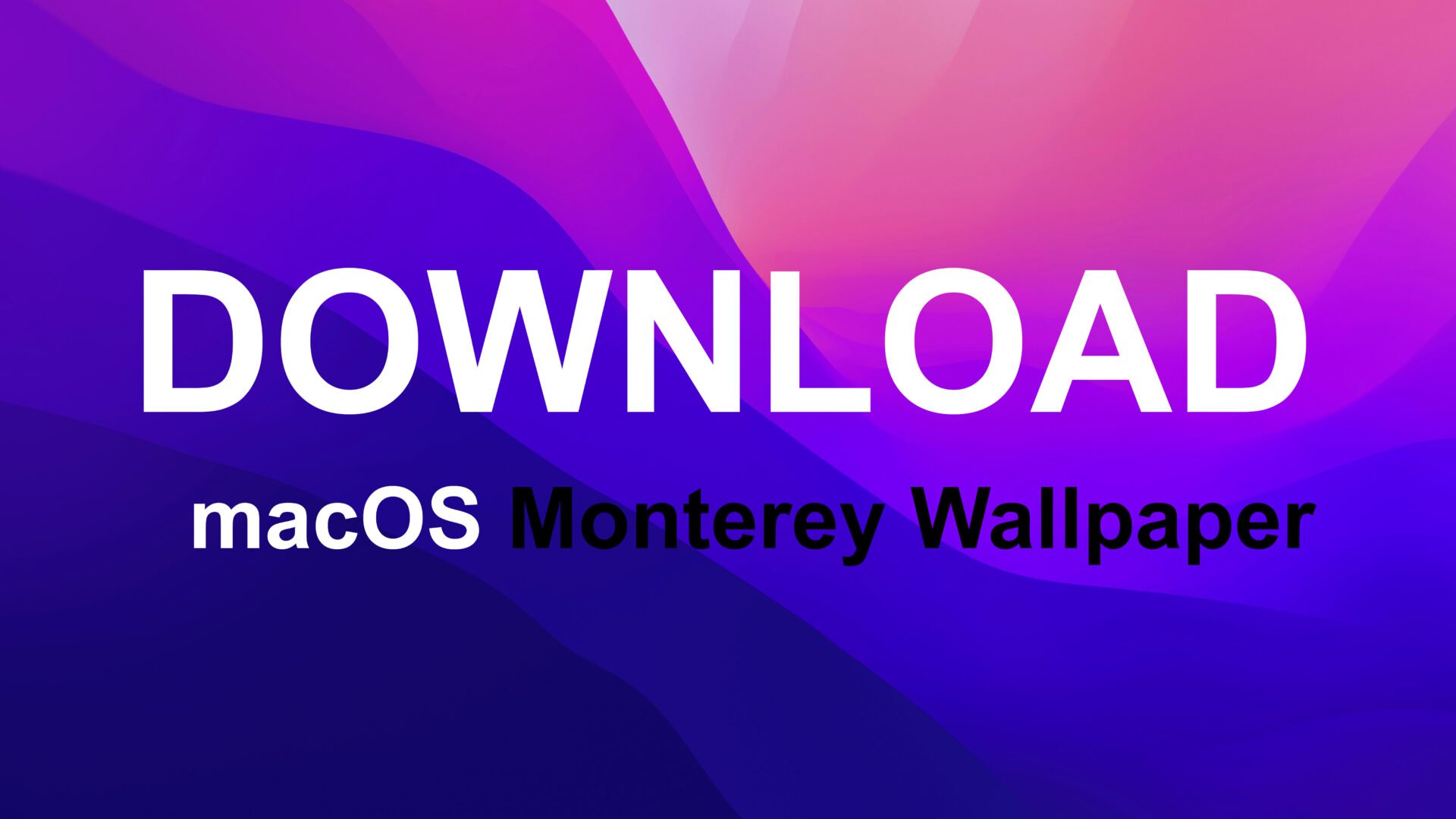 download the new for mac Monterey