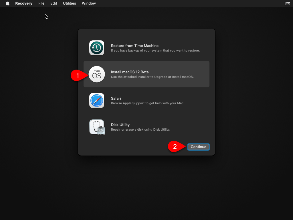 Install macOS 12 beta