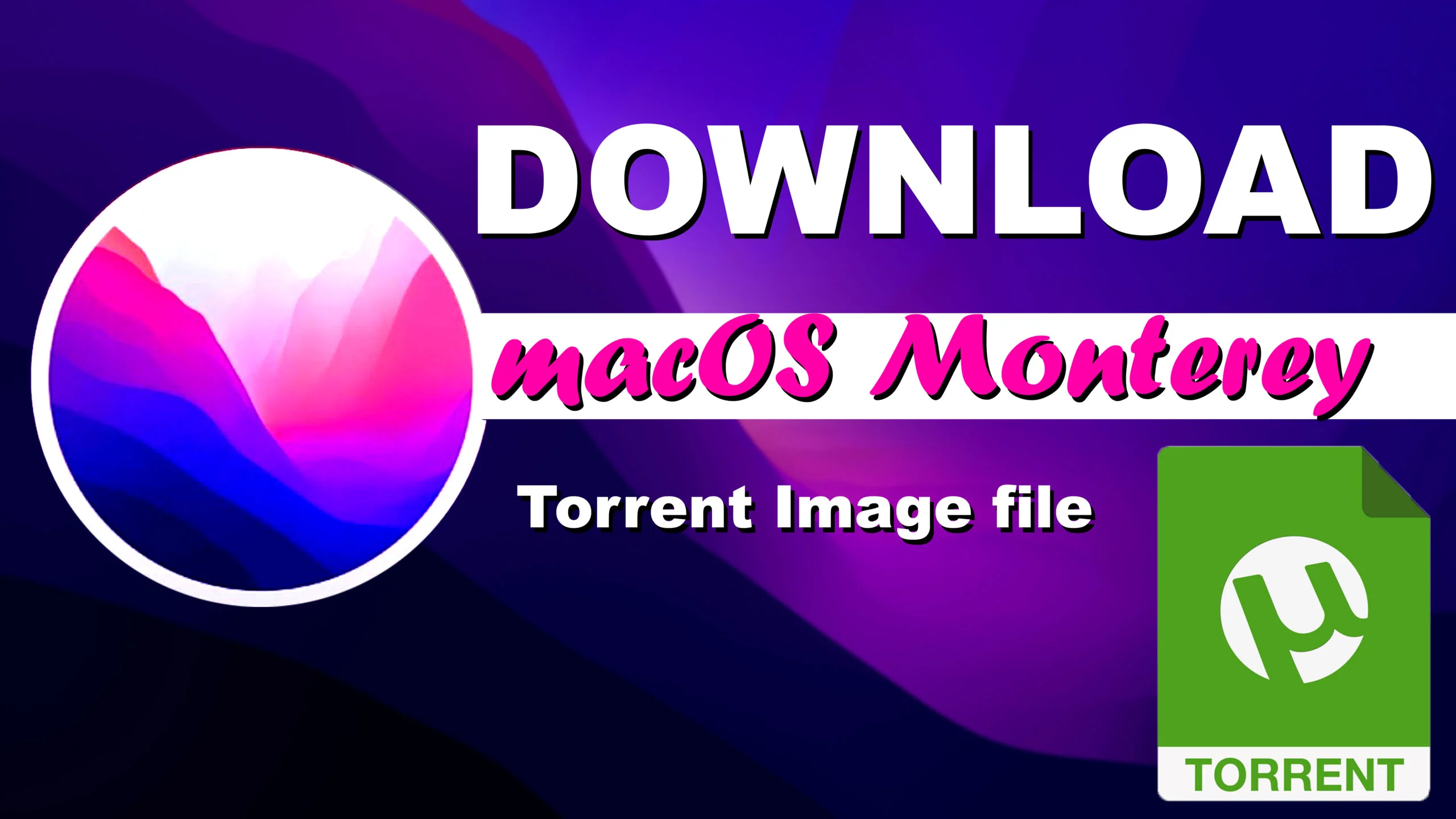 Download macOS Monterey Torrent Image Files For Free